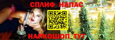 прущие грибы Янаул