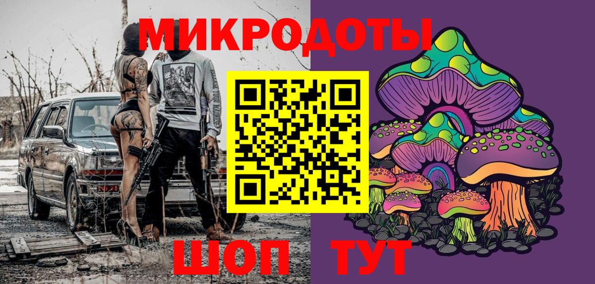 Благодарный  Псилоцибиновые грибы Psilocybe  Вход с VPN  Галлюциногенные грибы Psilocybe 