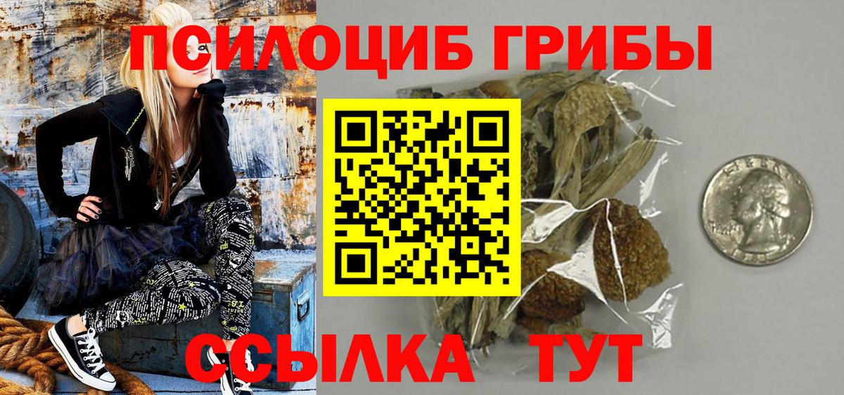 Галлюциногенные грибы Psilocybe Благодарный
